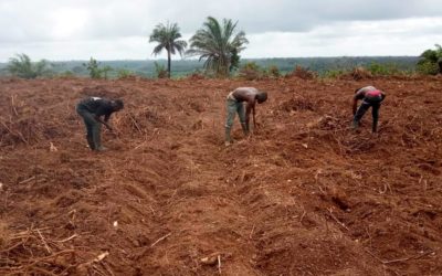 El proyecto agropecuario de Égueire en Costa de Marfil ya está en marcha