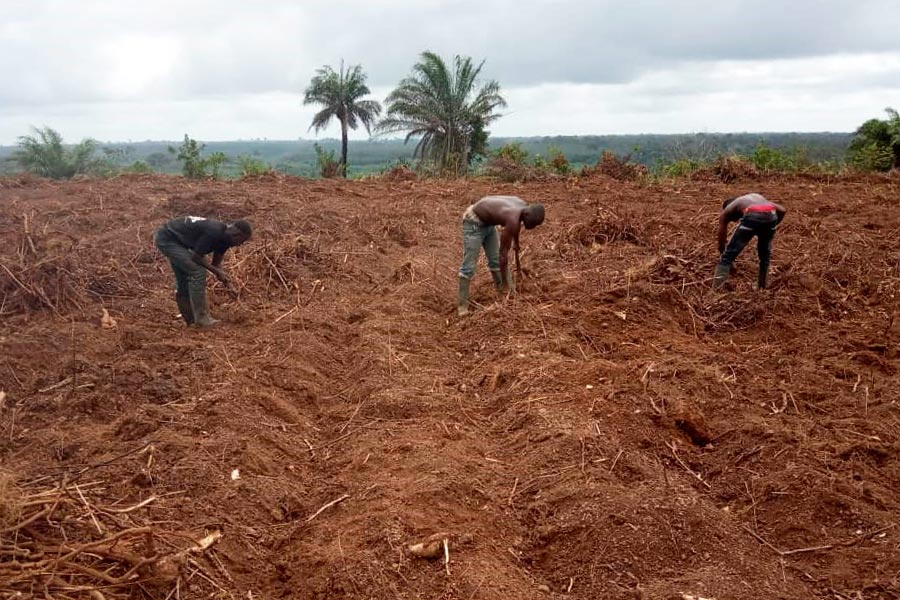 El proyecto agropecuario de Égueire en Costa de Marfil ya está en marcha